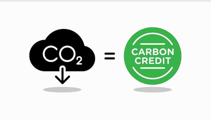 Tín chỉ carbon – tất cả những điều cần biết