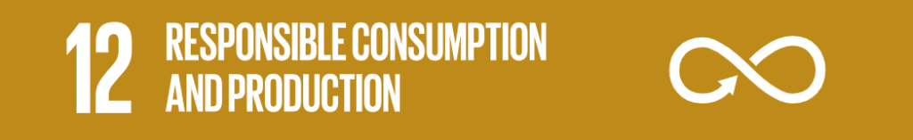 SDG 12: Responsible Consumption and Production ( Tiêu dùng và sản xuất có trách nhiệm)