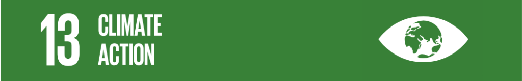 SDG 13: Climate Action (Hành động vì khí hậu)