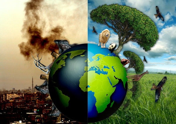 CO2 và mối nguy hiểm vô hình.